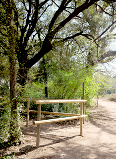 Bosc de les Estunes, Porqueres